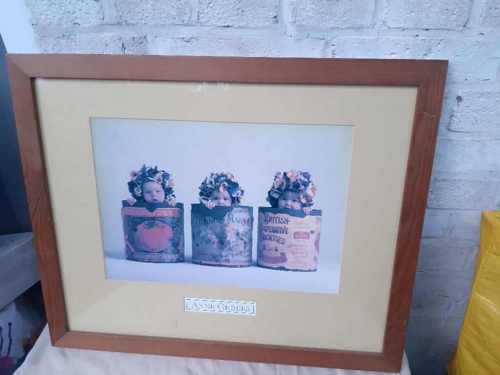 Anne Geddes "Viooltjes" baby's In plantaardige blikjes hout, Ophalen
