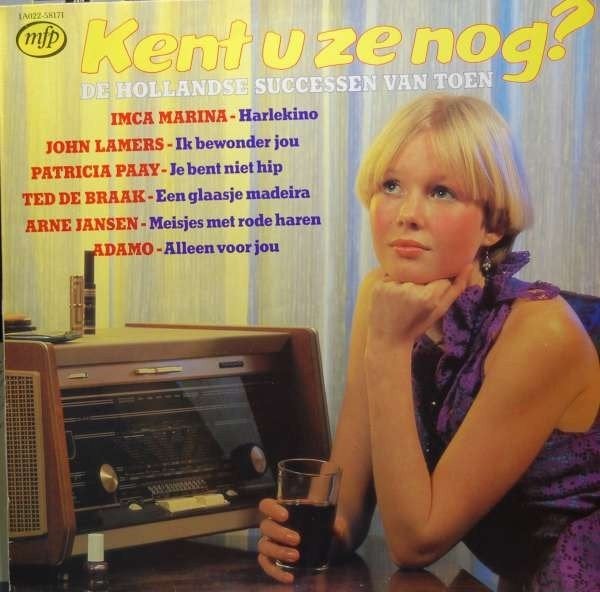 Nederlandse Piraten L.P. (1981) Kent U ze nog ?, LP, Gebruikt, Ophalen of Verzenden, 12 inch