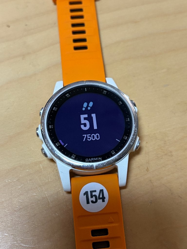 Garmin Fenix 5 plus (saffier  GPSinruil-nr 154), Gebruikt, Bramenberg 9, Carmin, Zwart