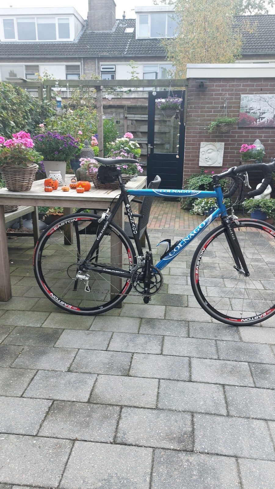Colnago Active Plus racefiets, 28 inch, Gebruikt, Aluminium, 15 tot 20 versnellingen
