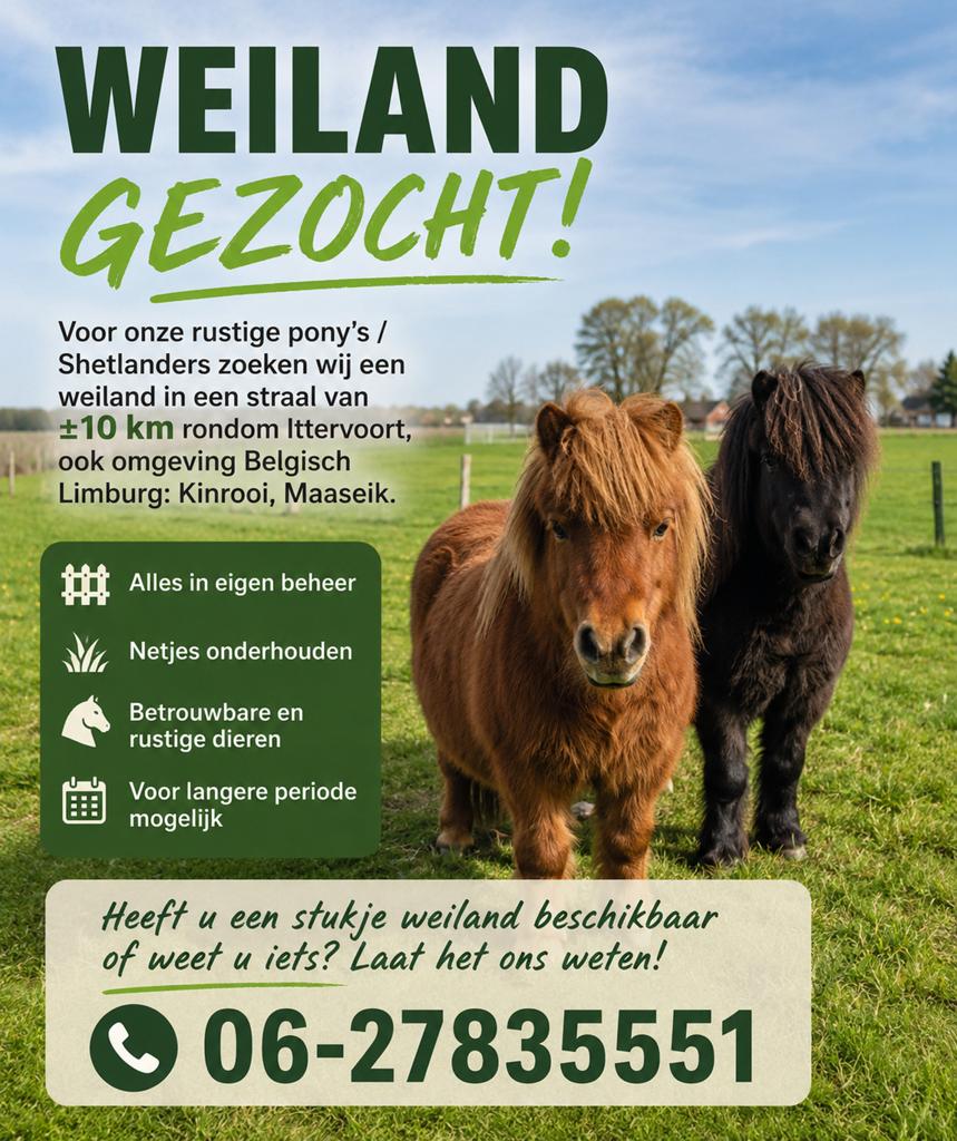 Weiland gezocht, Dieren en Toebehoren, Stalling en Weidegang, 4 paarden of pony's of meer