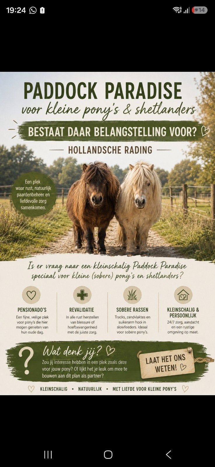 Shetlander paddock paradise in aanbouw na genoeg aanvraag!, Dieren en Toebehoren, Stalling en Weidegang