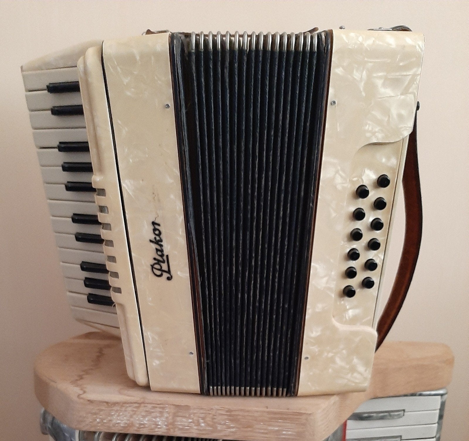 Playback accordeon met koffer, Muziek en Instrumenten, Accordeons, Gebruikt, Toetsaccordeon, Met koffer, Ophalen