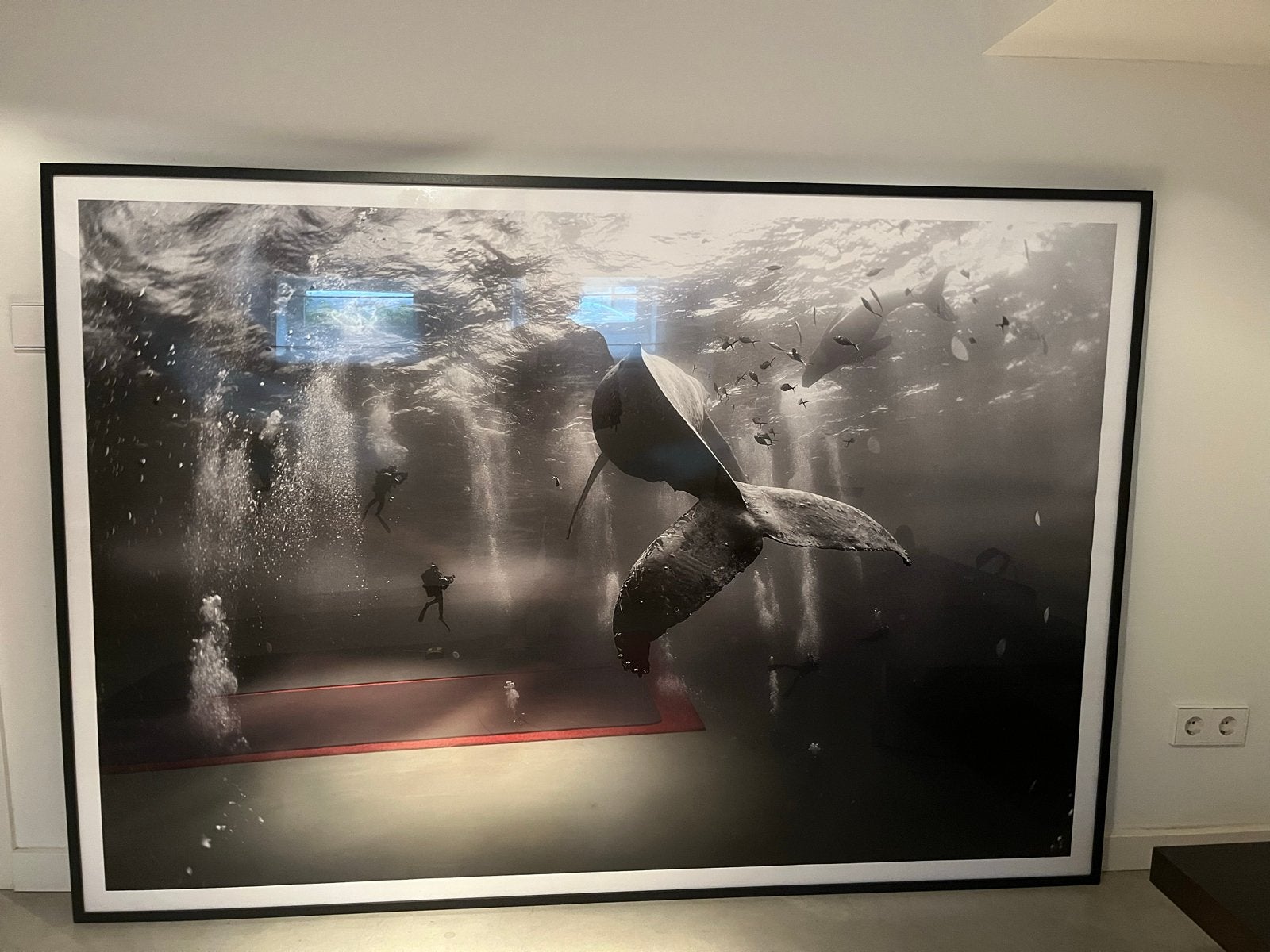 Anuar Patjane Floriuk - Whale Whisperers (World Press Photo), Antiek en Kunst, Ophalen, Foto, Fotografie, Ingelijst
