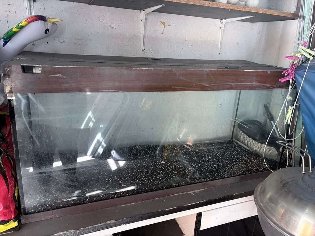 Aquarium Gratis af te halen, Dieren en Toebehoren, Vissen | Aquaria en Toebehoren, Ophalen, Zo goed als nieuw, Leeg aquarium