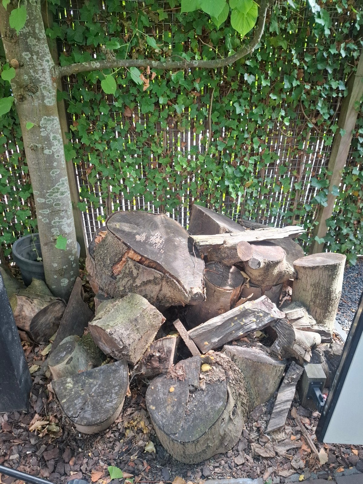 Gratis kachelhout - diverse houtsoorten, Tuin en Terras, Haardhout, Minder dan 3 m³, Ophalen, Overige houtsoorten, Blokken