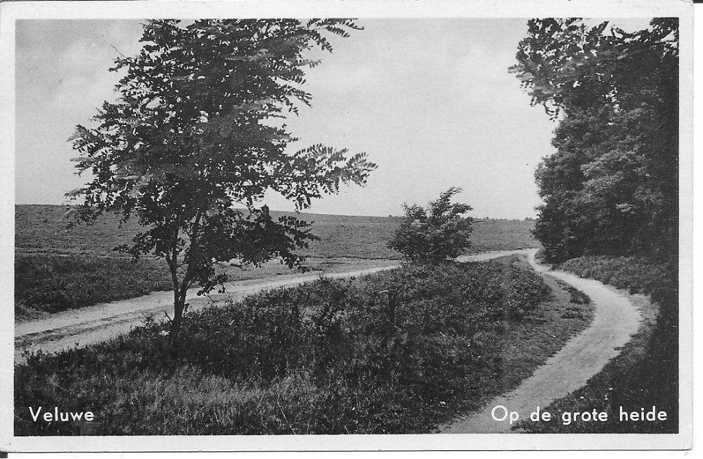 Oude ansichtkaart Veluwe - Op de grote heide 1957, Ophalen of Verzenden, 1940 tot 1960, Gelopen, Gelderland