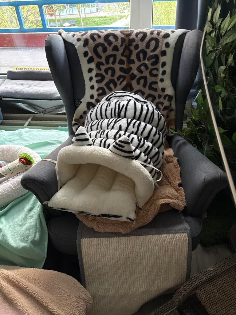 Mand kat, Ophalen of Verzenden