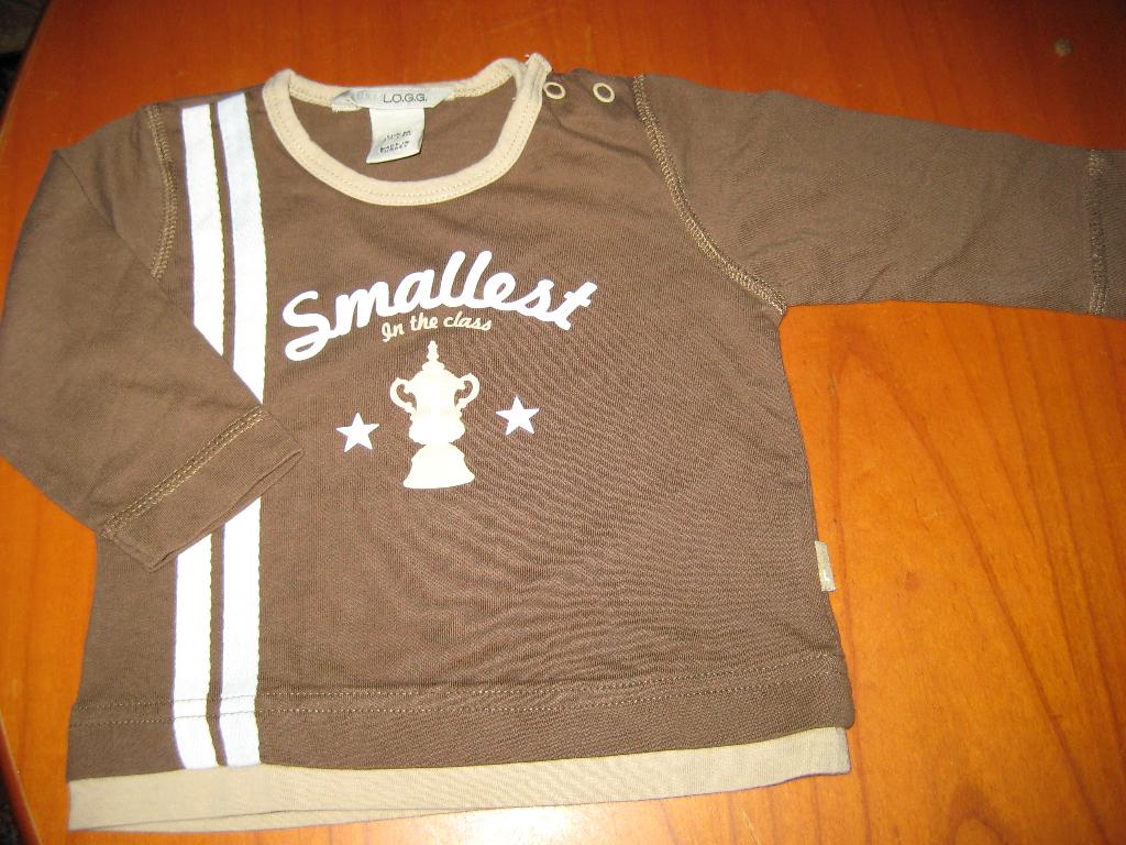 Bruin shirt, 68, H+M L.O.G.G., Kinderen en Baby's, Babykleding | Maat 68, Ophalen of Verzenden, Zo goed als nieuw, Jongetje, Shirtje of Longsleeve