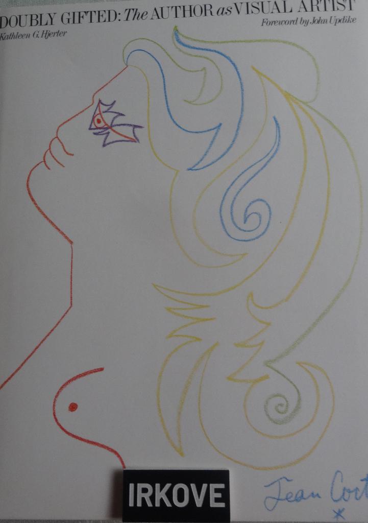 DOUBLE GIFTED * The ATHOR as VISUEL ARTIST *Kathleen Hjerter, Verzenden, Zo goed als nieuw, Overige onderwerpen, Kathleen Hjerter
