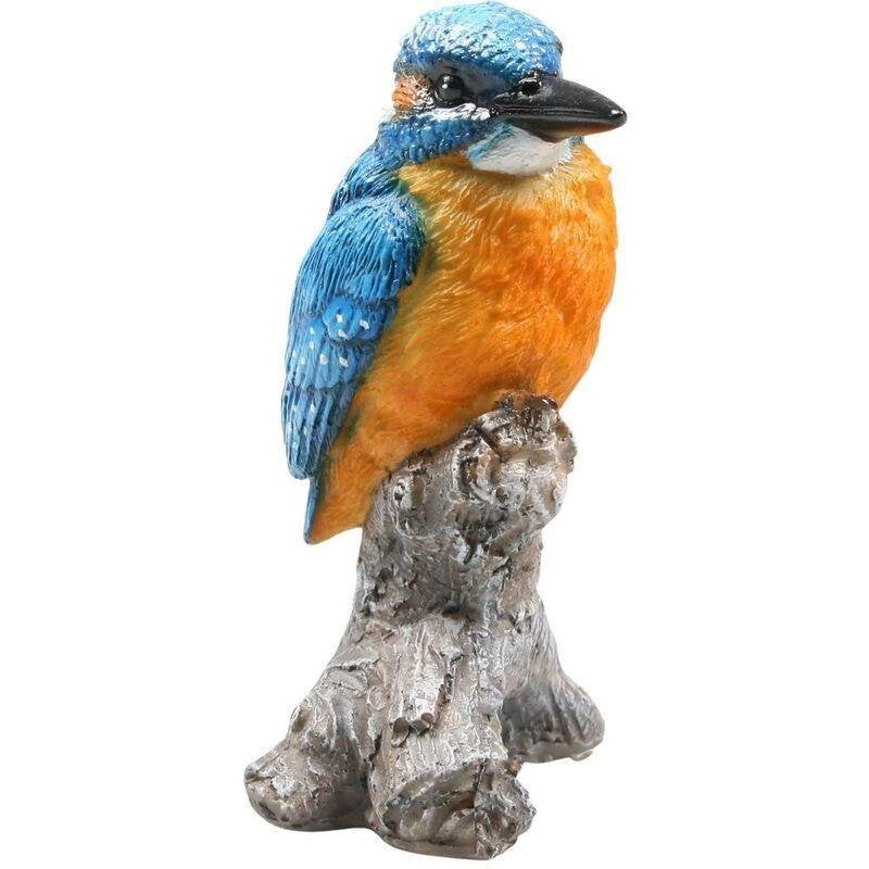 IJSVOGEL - THE BEAUTY ....., Ophalen of Verzenden, Nieuw