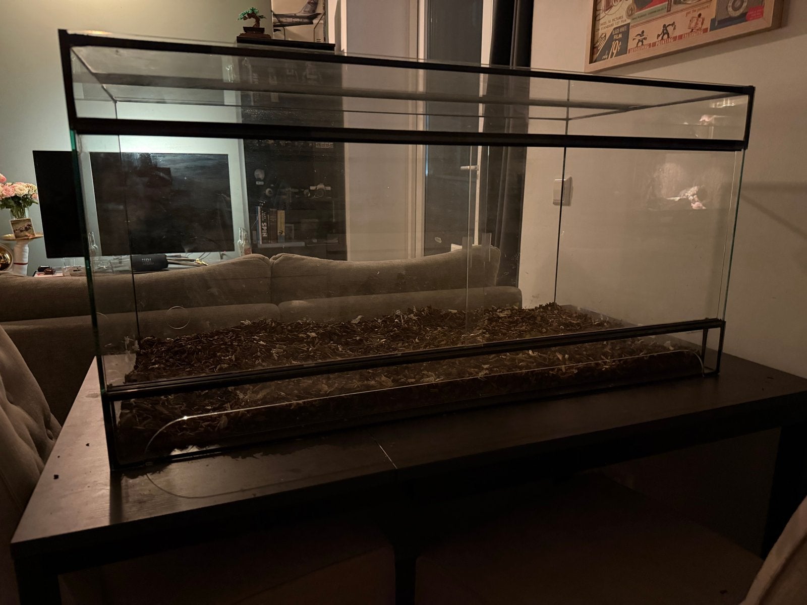 Terrarium 100x50x50, Ophalen, Gebruikt, Terrarium of Paludarium