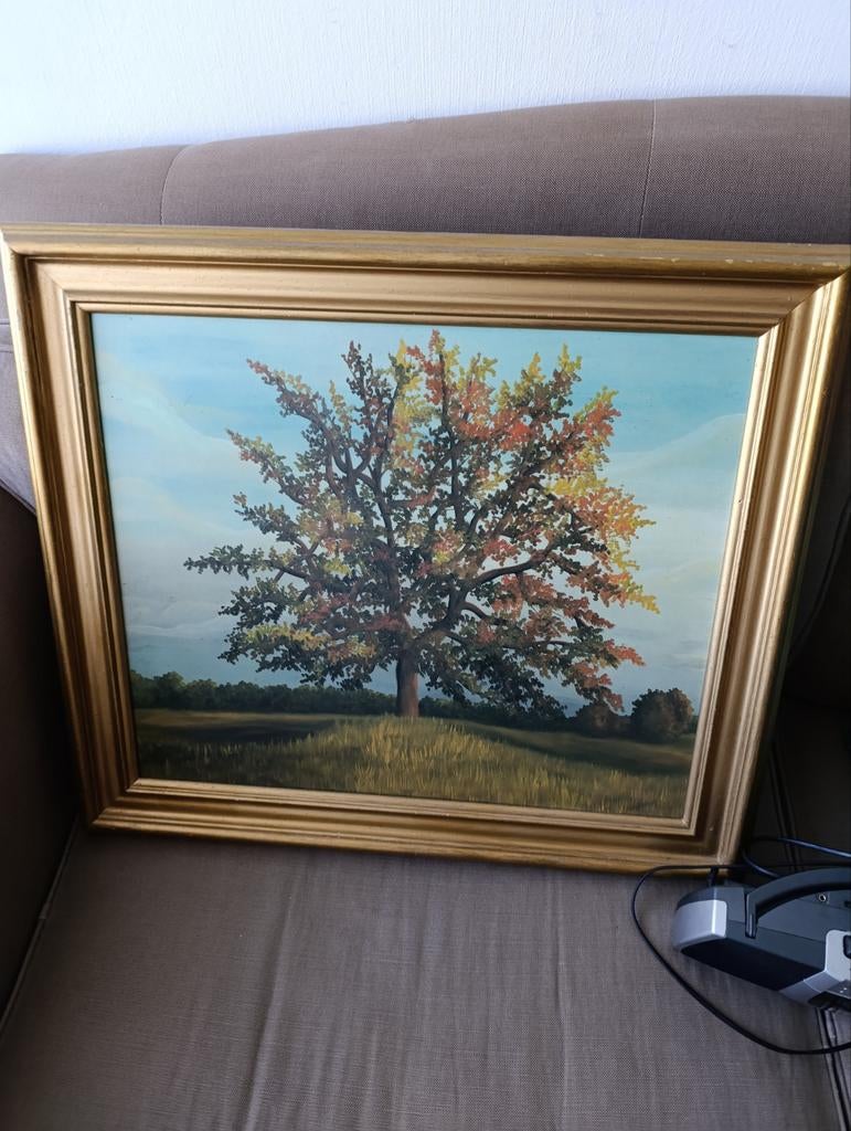 Schilderij met herfstboom in gouden lijst, Antiek en Kunst, Kunst | Schilderijen | Klassiek, Ophalen