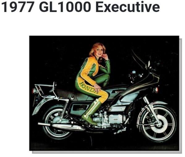 Rickman kuip Honda GL 1000 Goldwing, Motoren, Ophalen