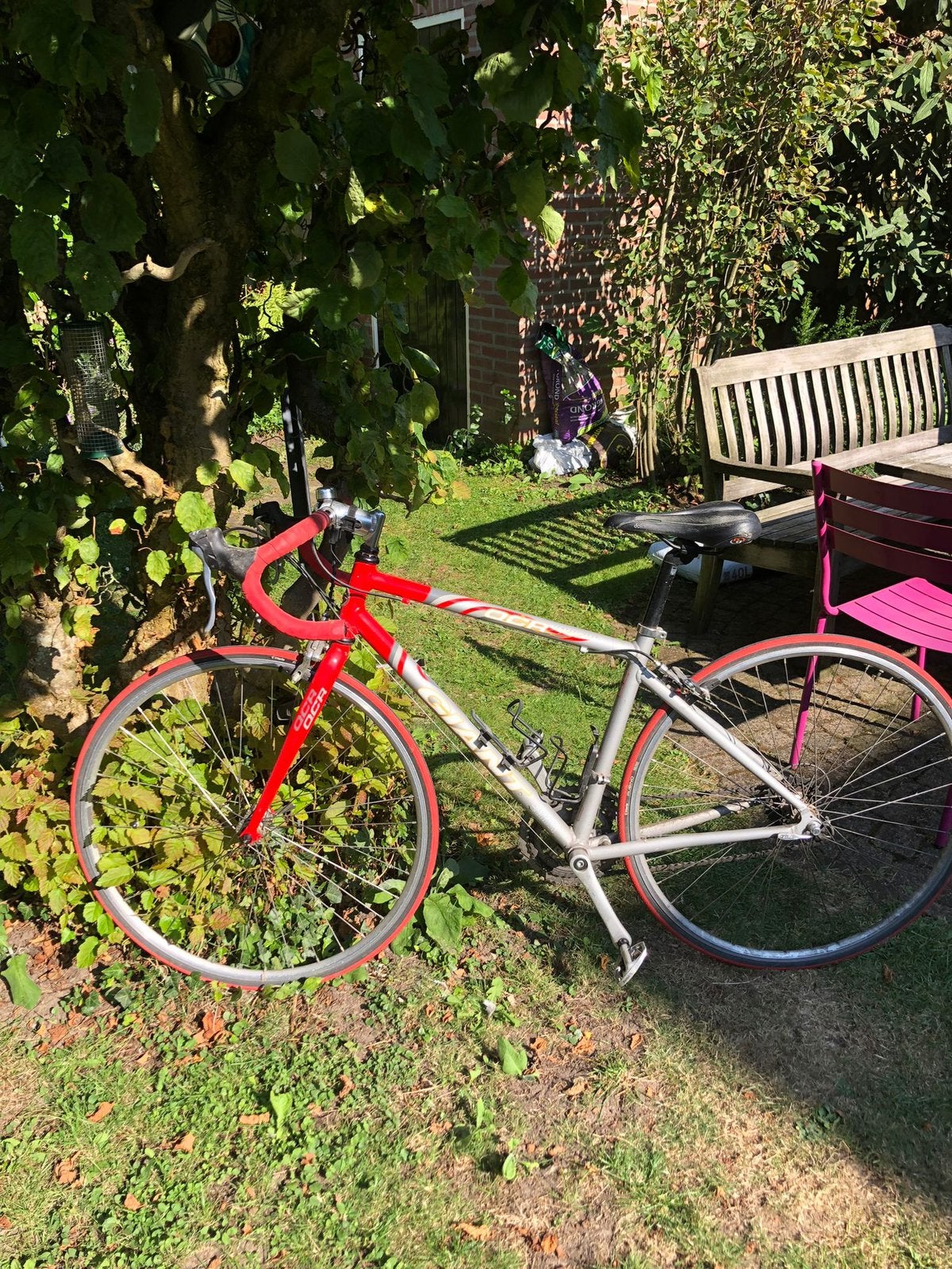 Dames racefiets, Ophalen, Gebruikt, Giant, Overige maten