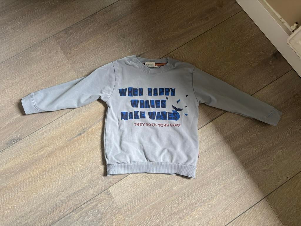 Sturdy, Ophalen of Verzenden, Zo goed als nieuw, Jongen, Trui of Vest