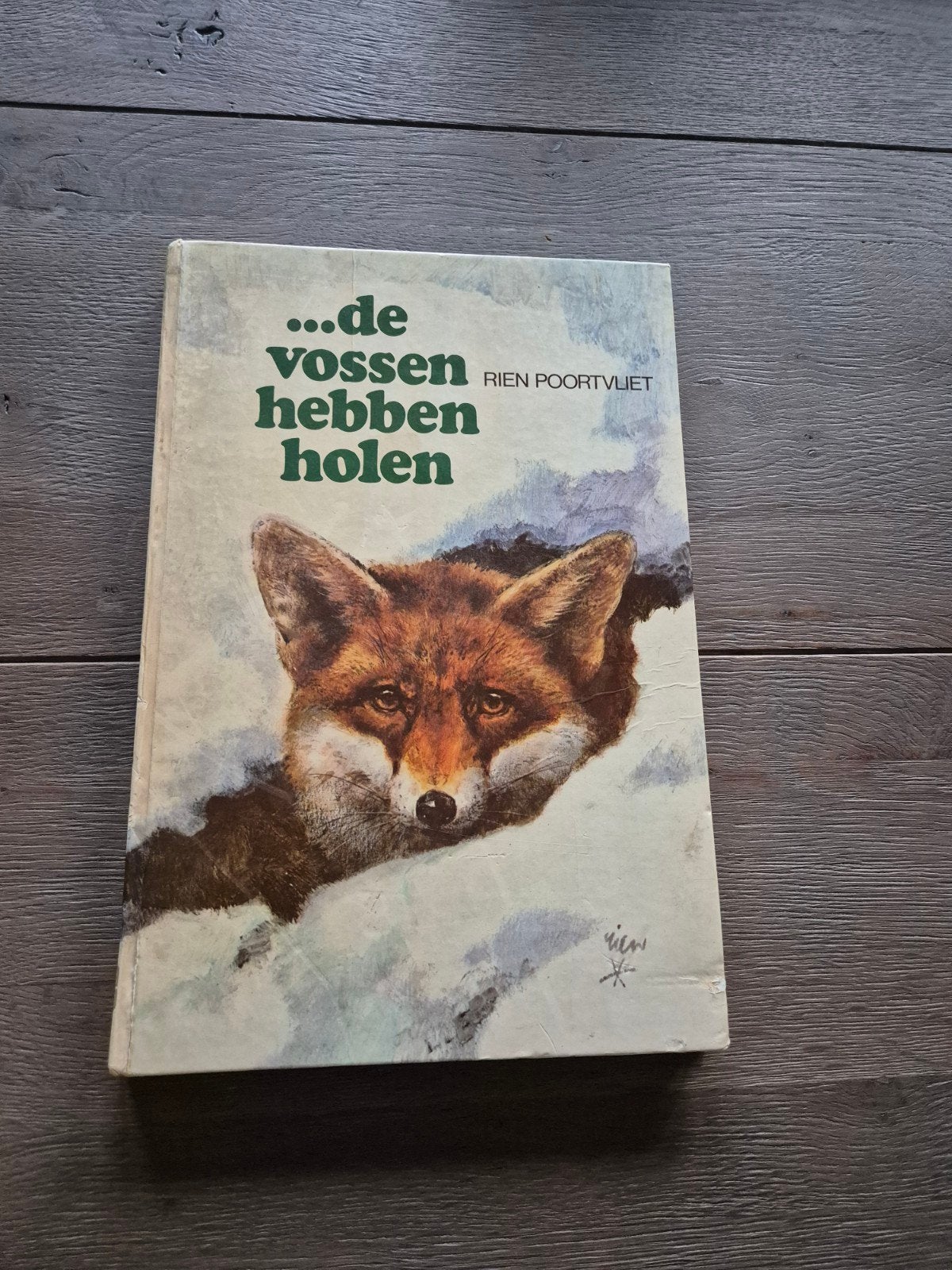 rien poortvliet, de vossen hebben holen, Ophalen of Verzenden, Zo goed als nieuw