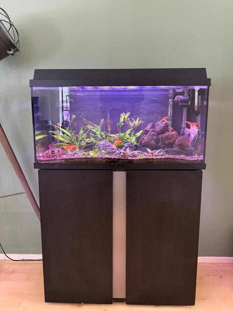 Compleet aquarium incl. Vissen en externe pomp, Dieren en Toebehoren, Ophalen, Gebruikt, Gevuld zoetwateraquarium