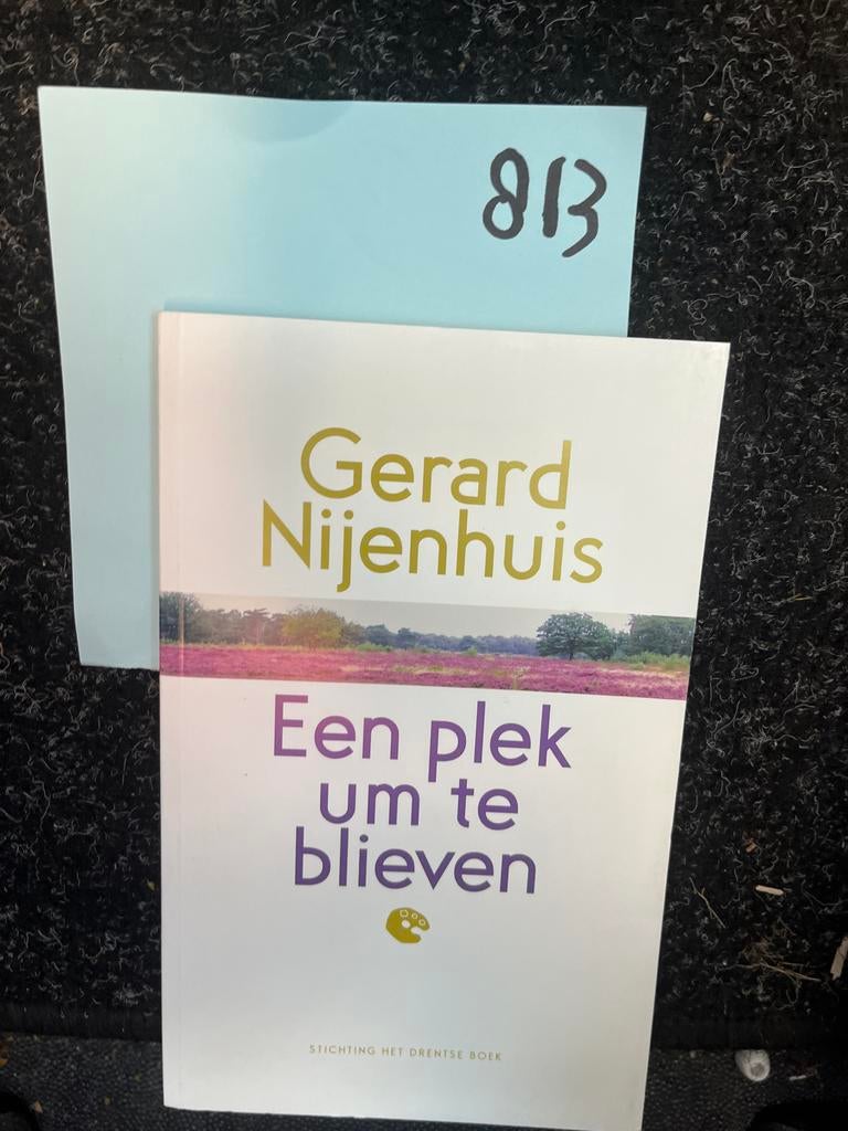 Een plek om te blijven - Gerard Nijenhuis, Ophalen of Verzenden, Zo goed als nieuw