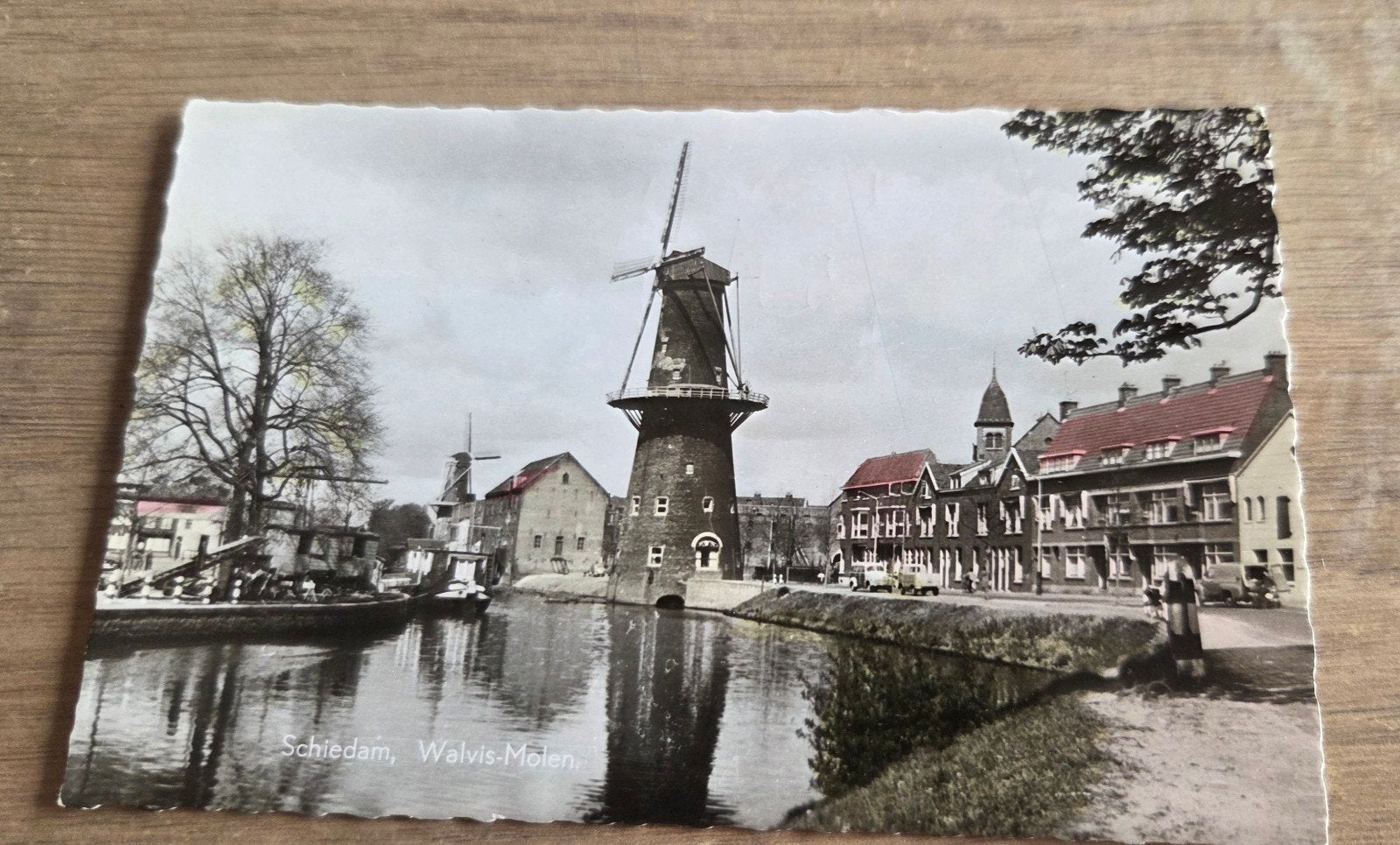 Oude ansichtkaart Schiedam, Walvis Molen - 1959, Ophalen of Verzenden