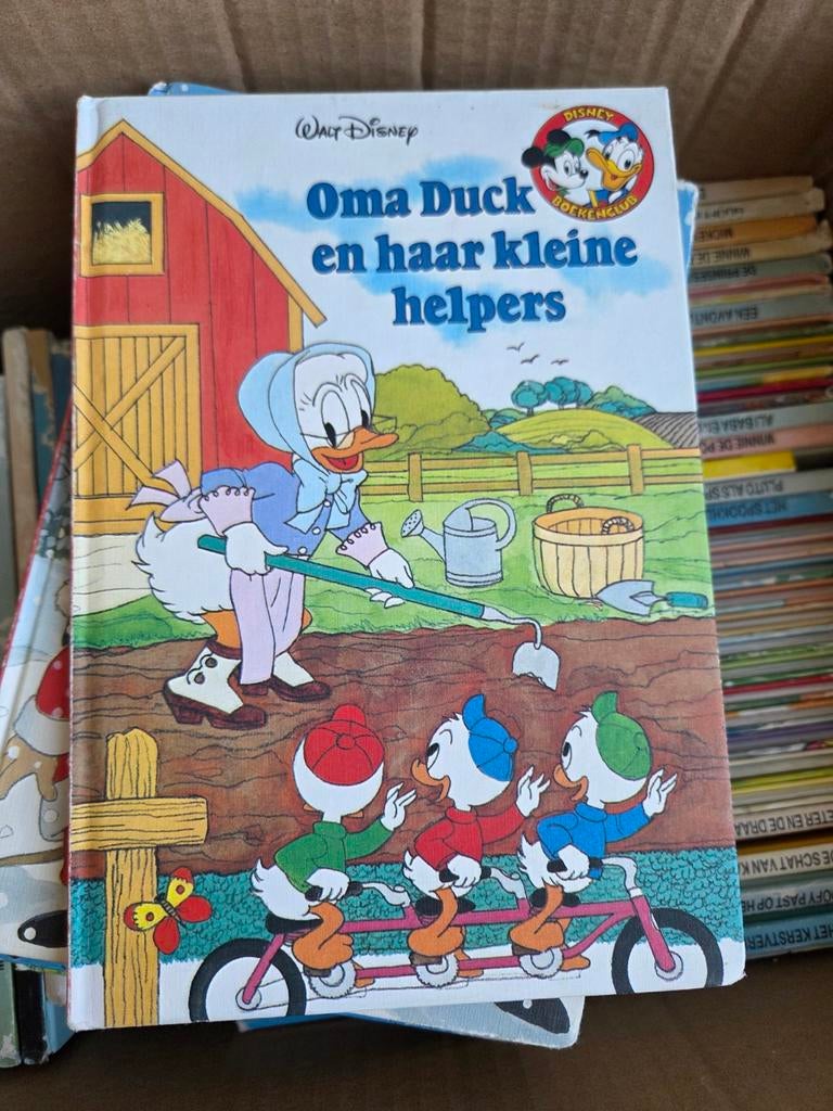 Disney voorleesboeken, Verzamelen, Ophalen, Gebruikt