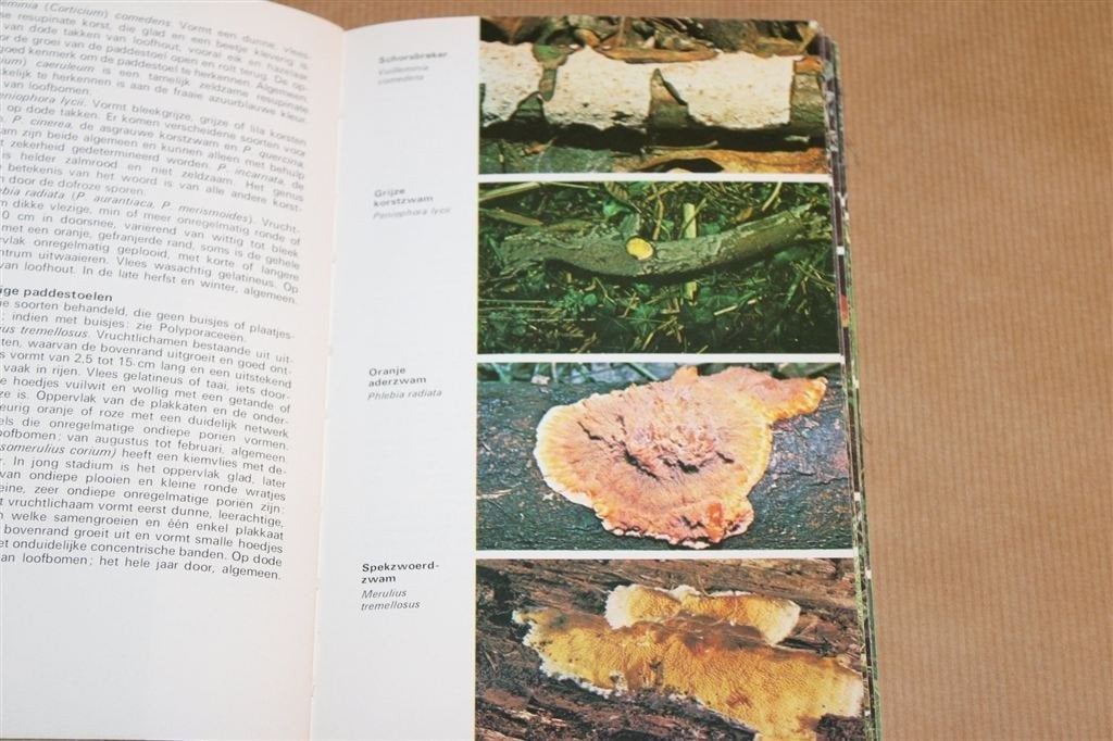 Paddestoelen — Elseviers Natuurwijzer in Kleur, Boeken, Ophalen of Verzenden, Gelezen, Bloemen, Planten en Bomen