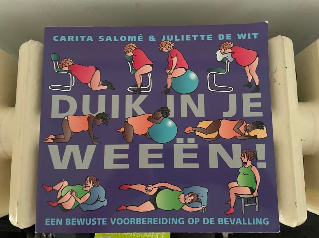 Duik in je weeën! Bewuste voorbereiding op de bevalling, Ophalen of Verzenden, Gelezen, Zwangerschap en Bevalling