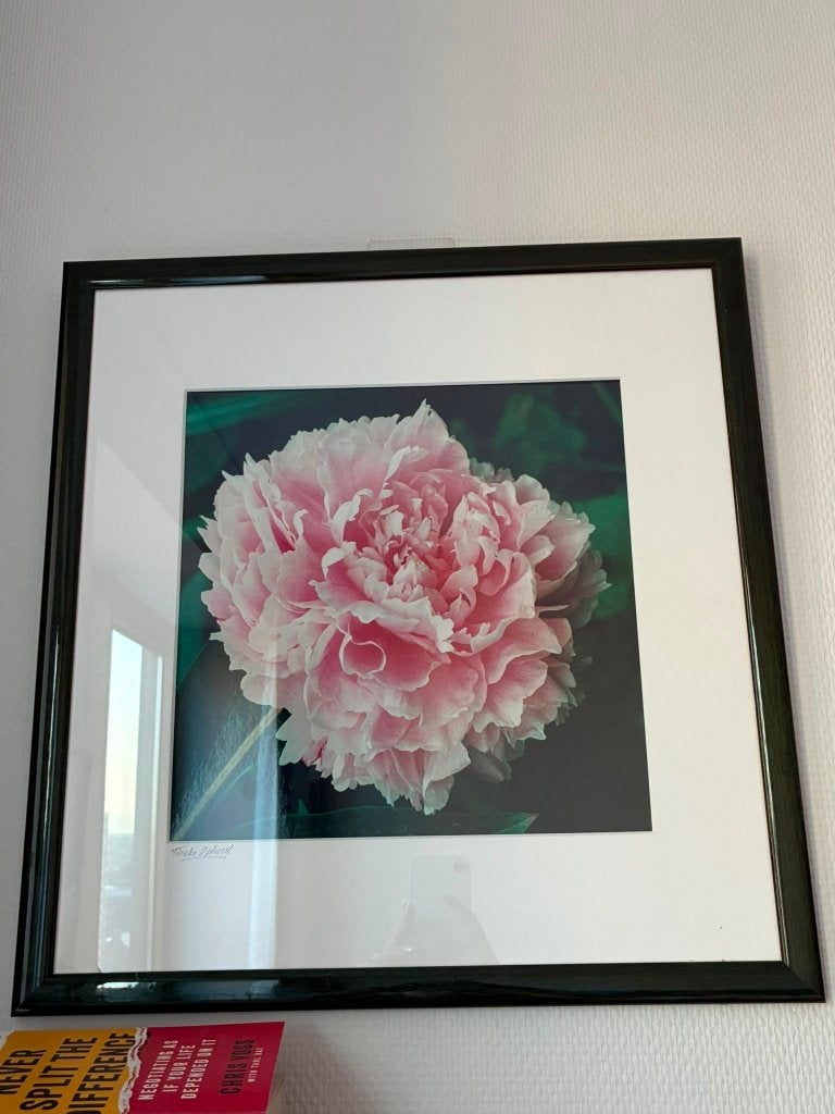 Schilderij Bloem, Print, Papier, Ophalen, Bloemen