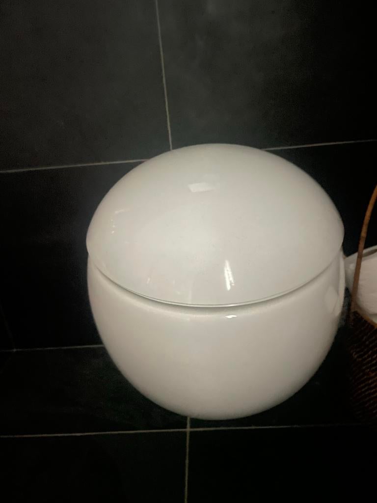 Alessi design toilet - Modern en stijlvol WC, Ophalen of Verzenden, Gebruikt, Toilet