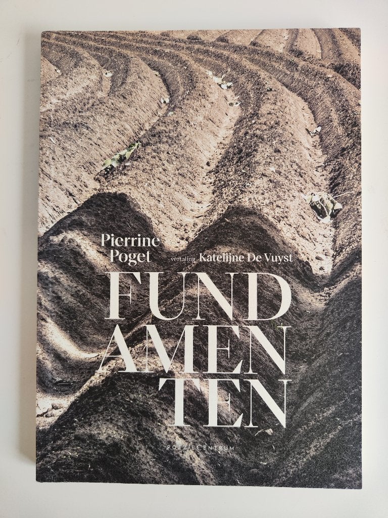 Pierrine Poget – Fundamenten, Boeken, Pierrine Poget, Ophalen of Verzenden, Zo goed als nieuw, Eén auteur