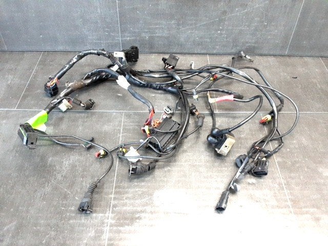 900SS 1998 - 2002 Ducati Kabelboom Kabelboom hoofd D1-61383