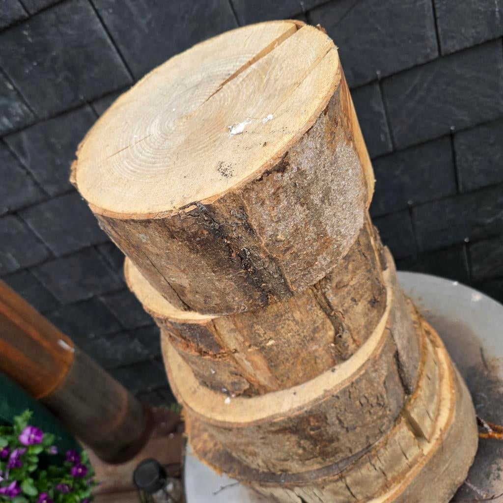 Boomschijven, 5 stuks - mooi voor  decoratie, Ophalen, Nieuw