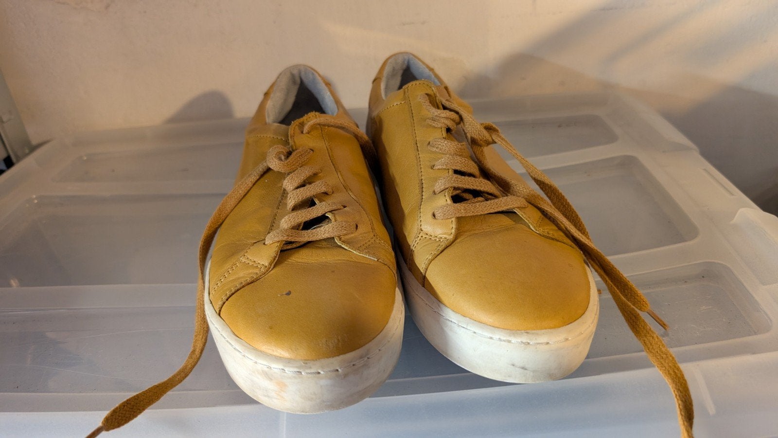 Society Shop sneakers maat 43, Society Shop, Overige kleuren, Ophalen of Verzenden, Sneakers of Gympen