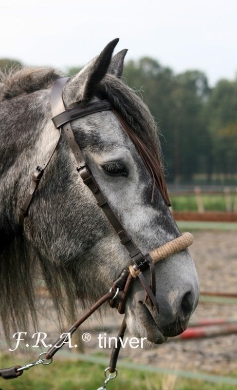 F.R.A Tinver bitloos hoofdstel, Ophalen, Hoofdstel, Full