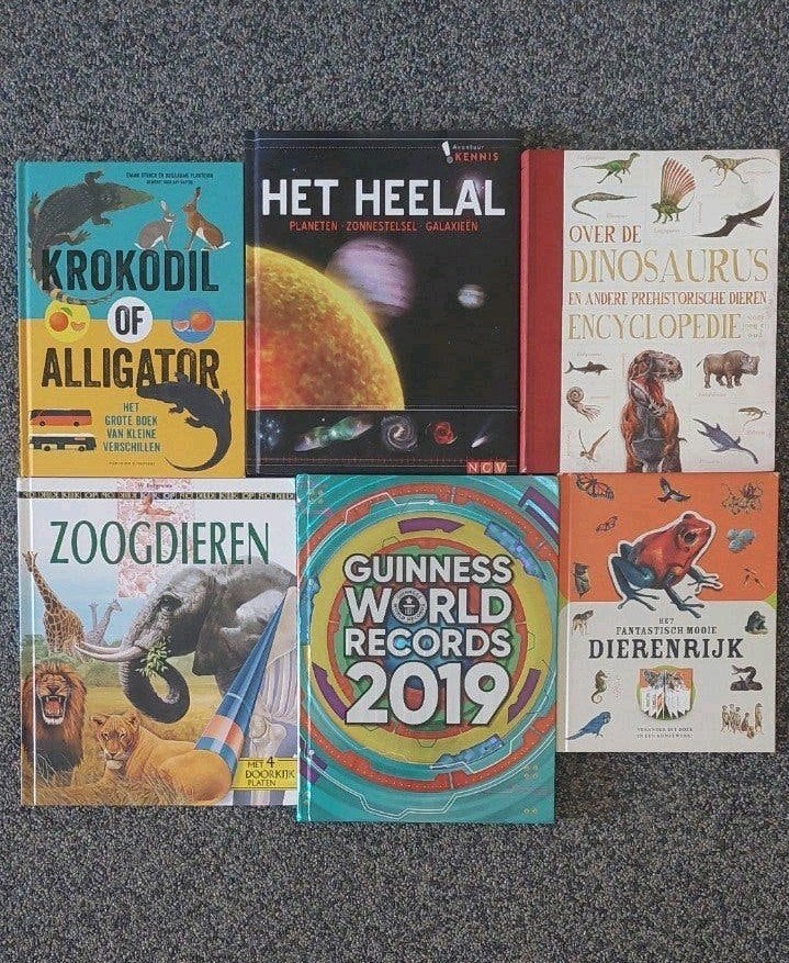 diverse boeken, Ophalen of Verzenden, Gelezen, Non-fictie