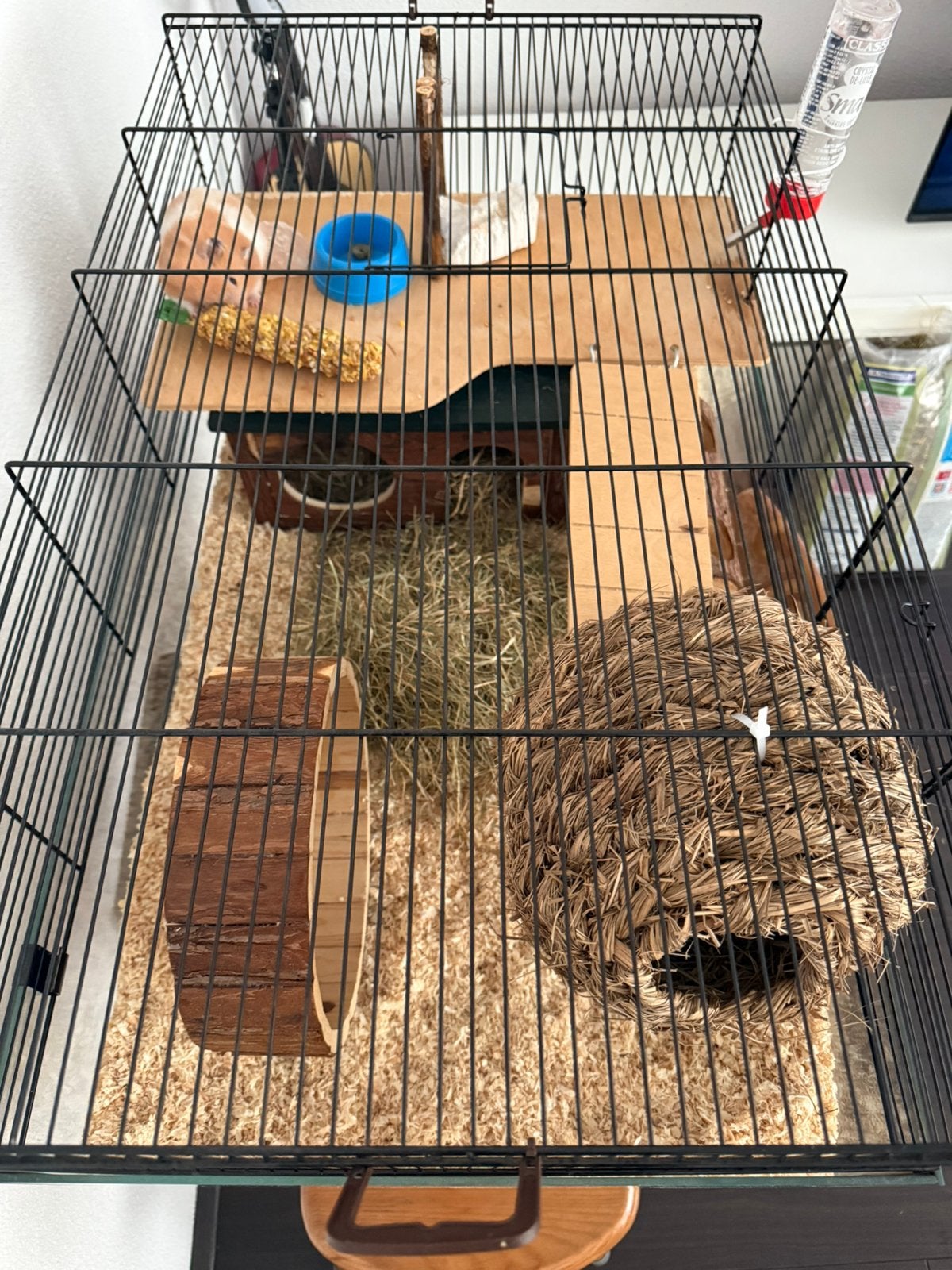 Hamsterkooi groot glas met alle bijbehorende spullen, Kooi, Zo goed als nieuw, Hamster, 75 tot 110 cm