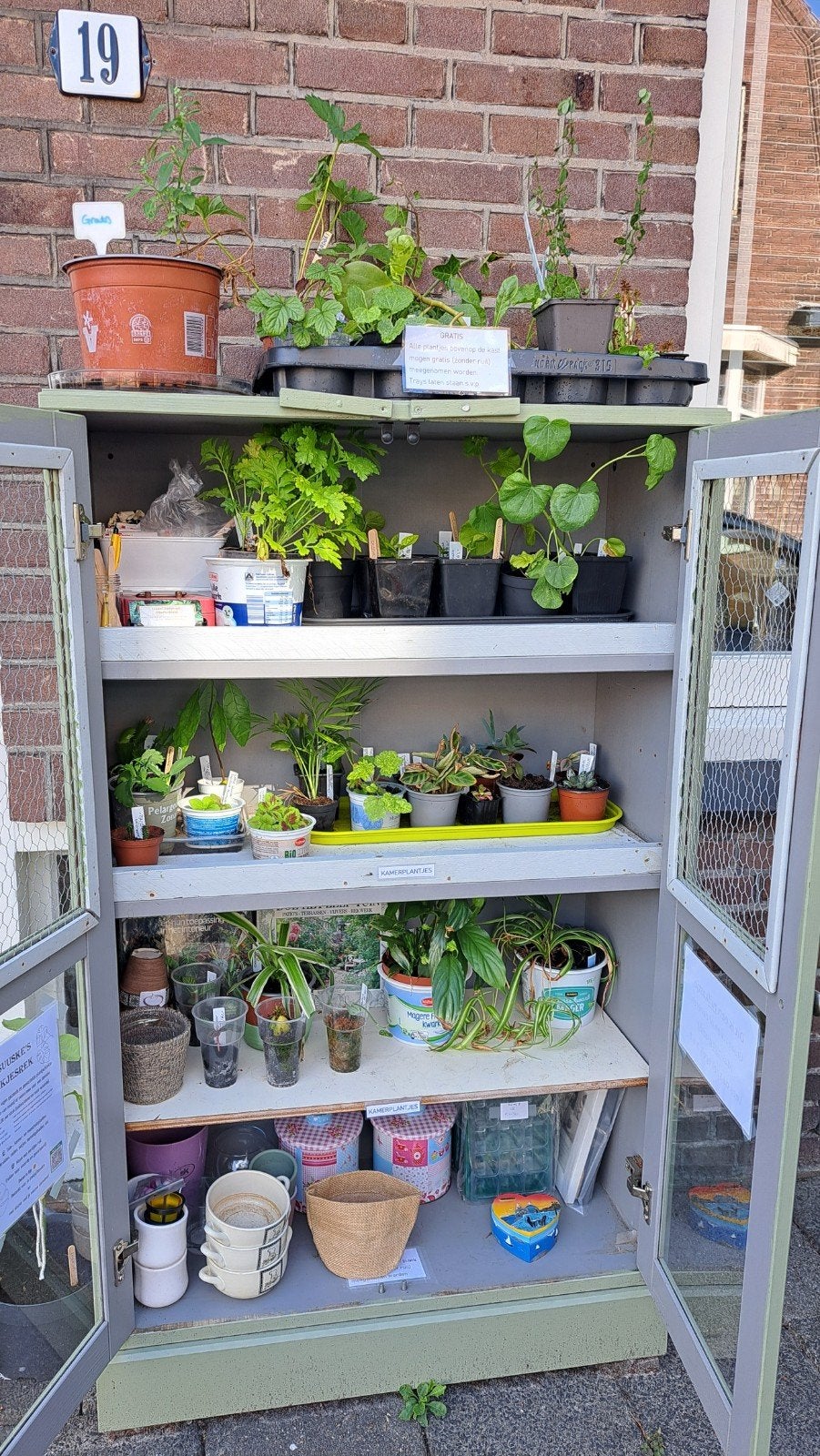 Kom je plantjes ruilen in mijn plantenbieb!, Ophalen, Halfschaduw, Minder dan 100 cm
