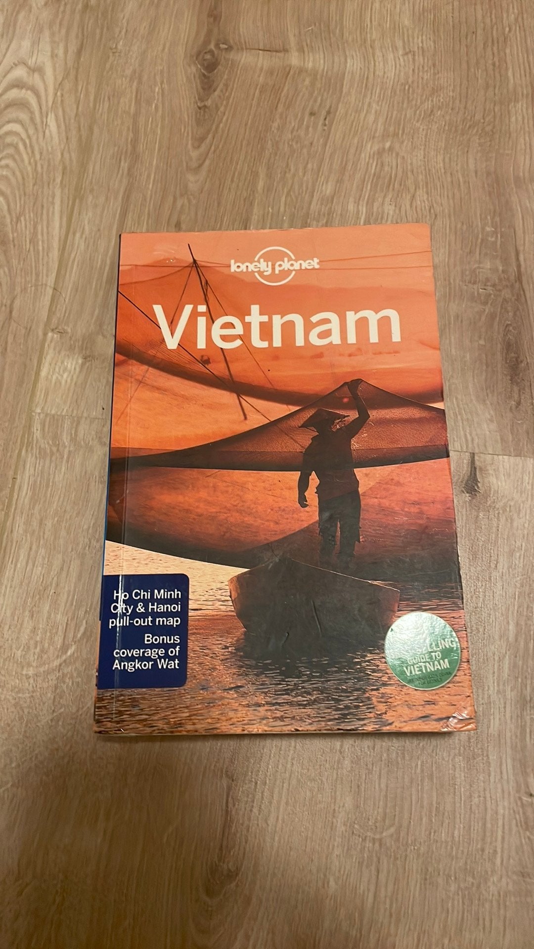 Lonely planet vietnam, Boeken, Lonely Planet, Ophalen of Verzenden, Zo goed als nieuw, Reisgids of -boek