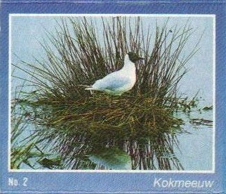 lucifers - no 2 - kokmeeuw - gejo venlo - ah verkocht ze, Ophalen of Verzenden, Gebruikt, Luciferdoosjes of -merken