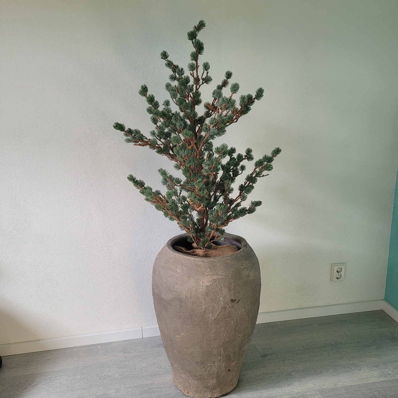 Grote pot met boompje, Ophalen