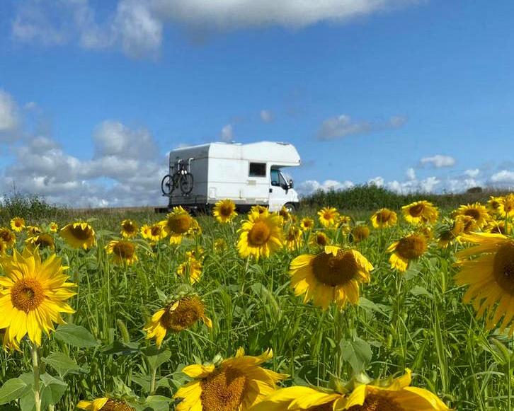 Op pad met Brum! Fijne korte 3p. camper, Fiat, goede staat., Caravans en Kamperen, Alkoof, Ringverwarming, Fiat, Diesel