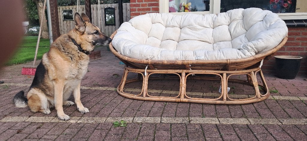 Bamboe bank gratis  (gekocht bij gamma), Ophalen, Gebruikt, 150 tot 200 cm, Tweepersoons
