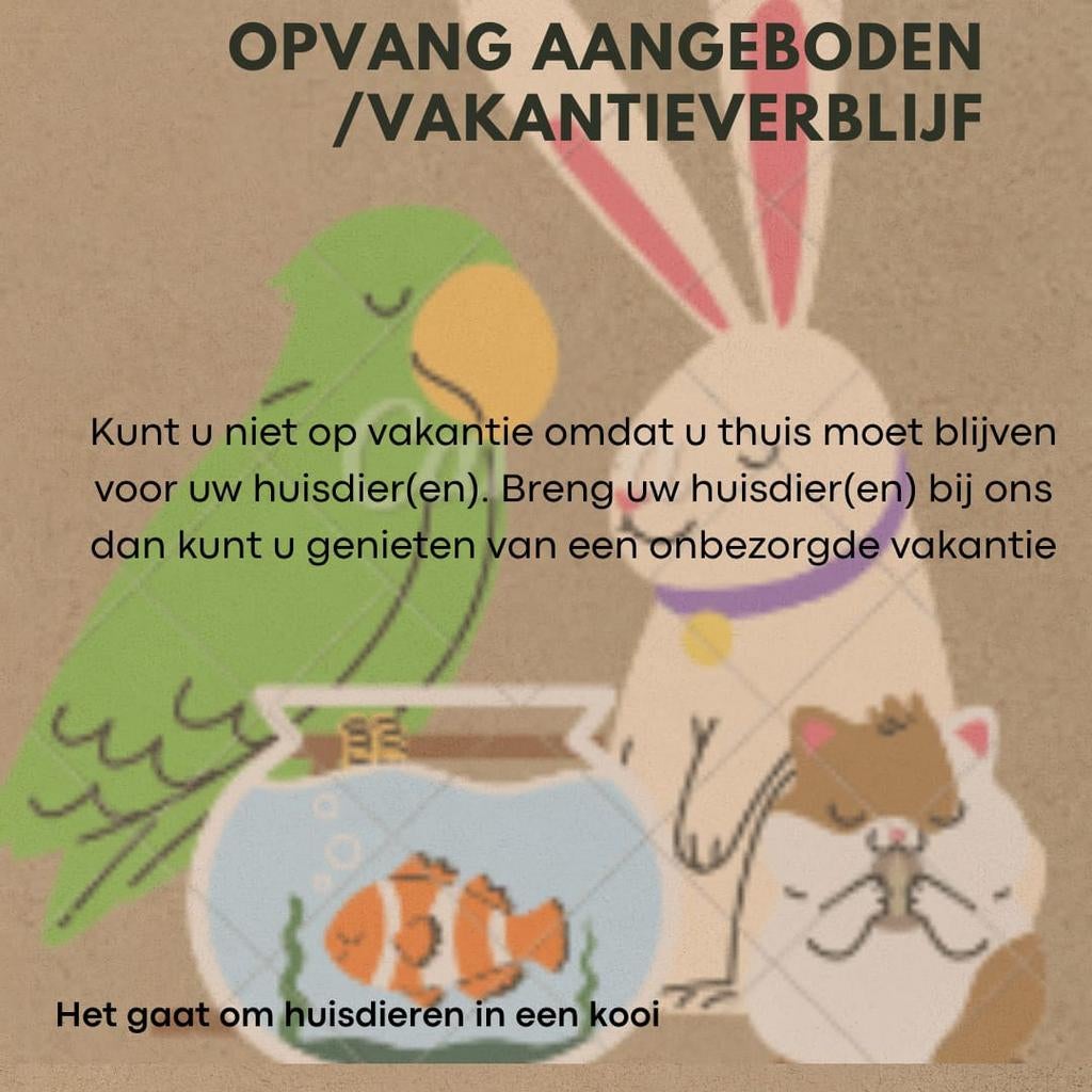 opvang aangeboden voor in de vakantie/ vrije tijd enzovoort, Ophalen, Nieuw
