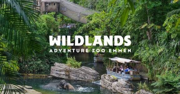 4 x Wildlands e-tickets te koop - snel geregeld!🐒🐒, Tickets en Kaartjes, Drie personen of meer, Ticket of Toegangskaart