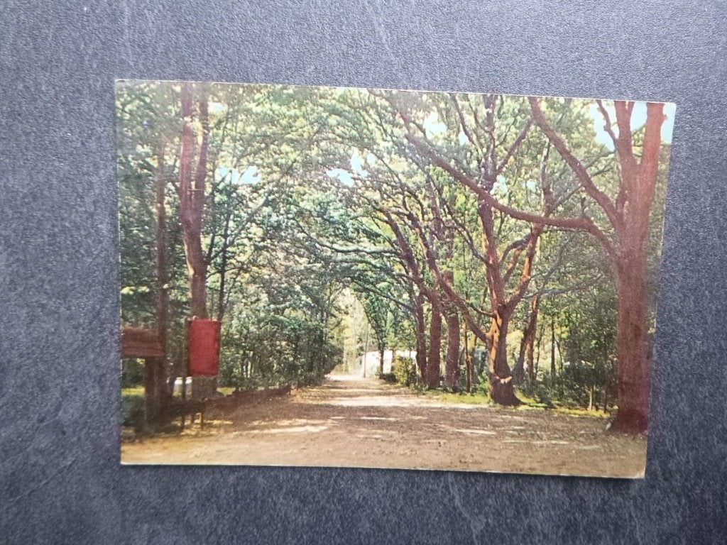 Oosterhout, camping de Hannebroek 1971, Verzenden, 1960 tot 1980, Gelopen, Noord-Brabant