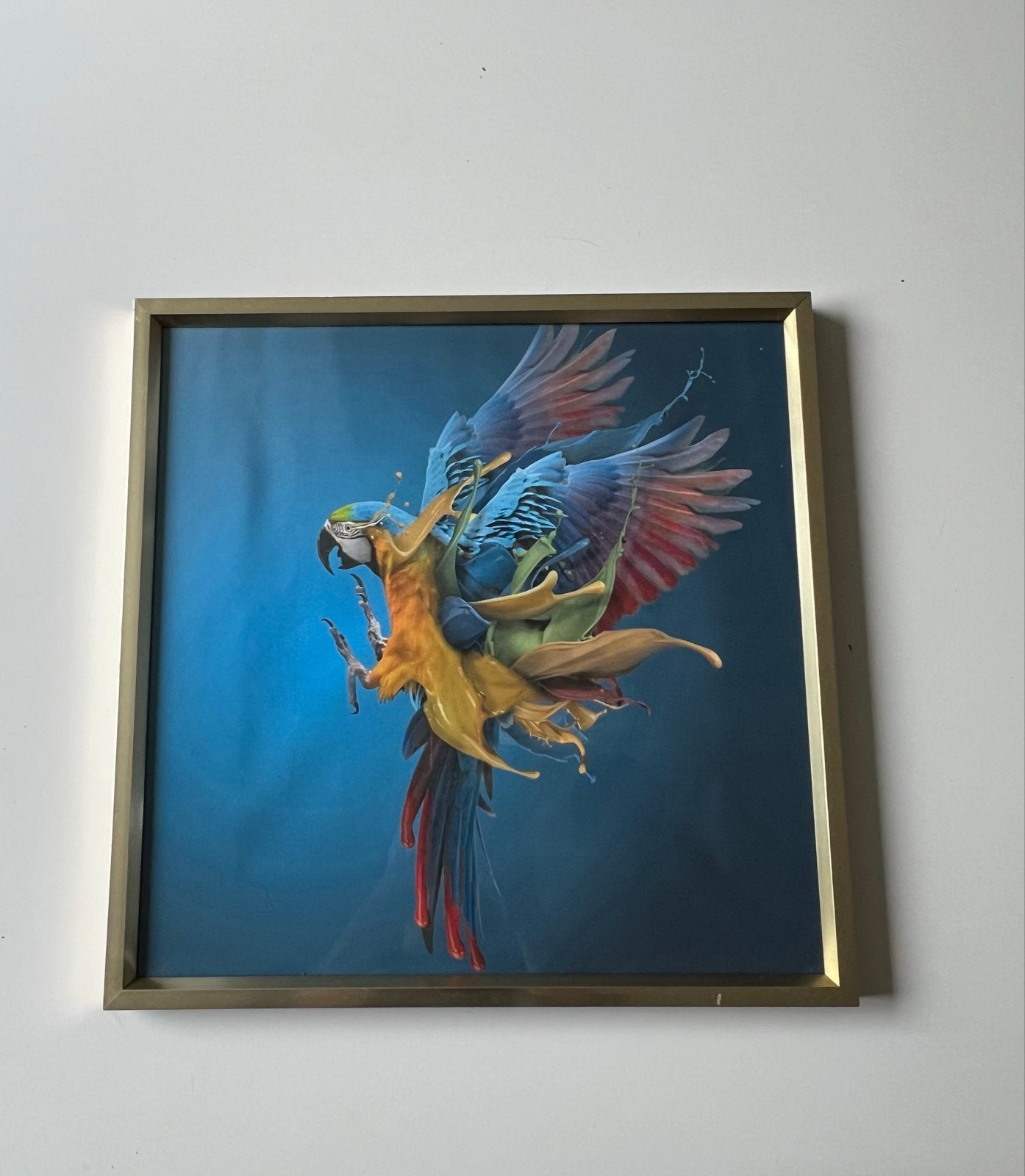 Papegaai schilderij in lijst - Walther Design, Minder dan 50 cm, Oorspronkelijke maker, Ophalen of Verzenden, Zo goed als nieuw