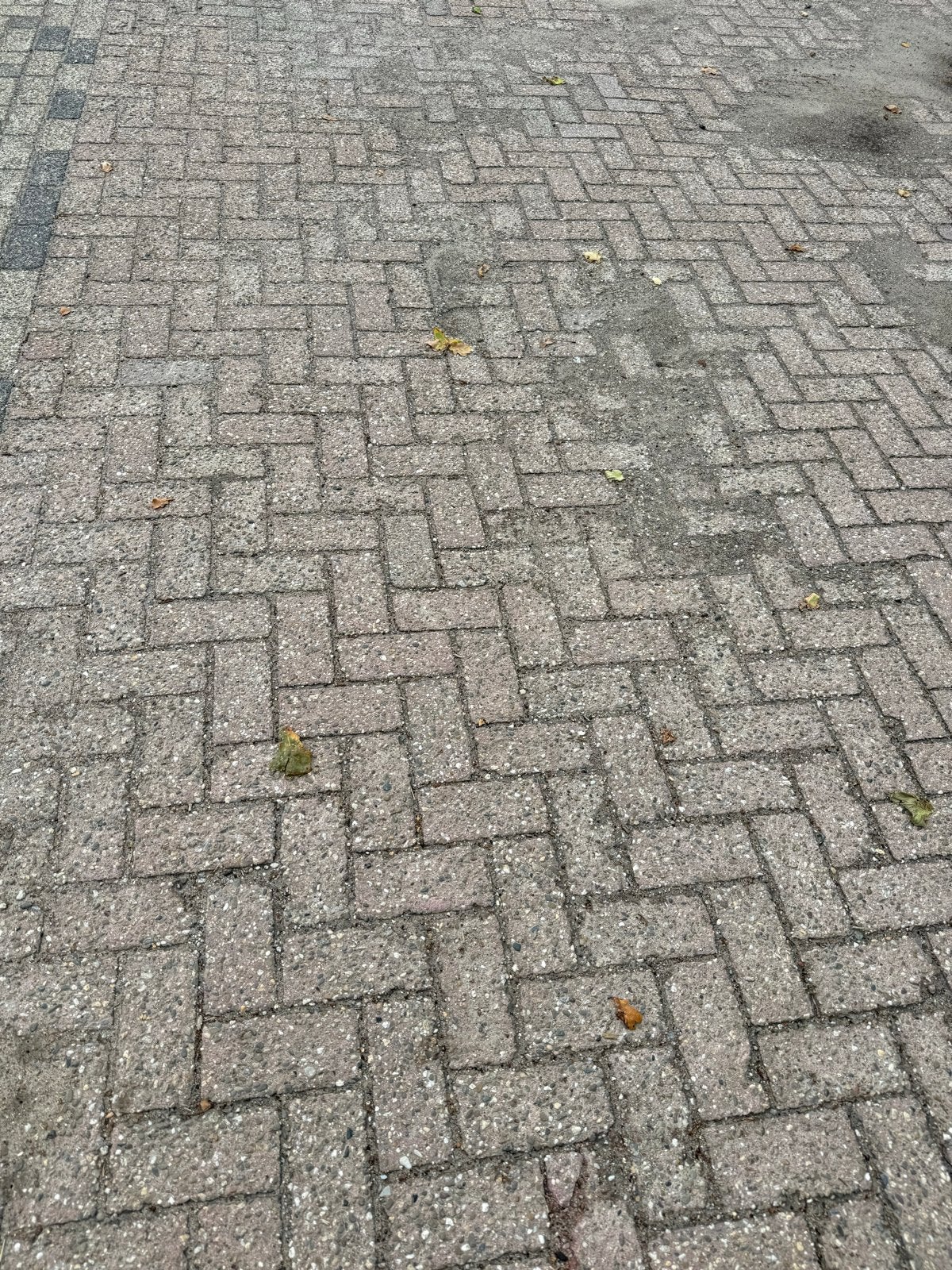 GRATIS Gebruikte betonklinkers, ca. 750 m2 beschikbaar, Ophalen, Gebruikt, Klinkers, 10 m² of meer