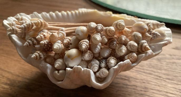 Decoratieve Schelpen Schaal met Kleine Schelpjes, Huis en Inrichting, Beige, Overige stijlen, Ophalen of Verzenden, Zo goed als nieuw