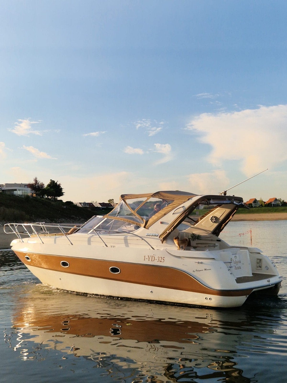 sportcruiser. sessa marine oyster 30, Watersport en Boten, 10 m, Gebruikt, Binnenboordmotor, Diesel