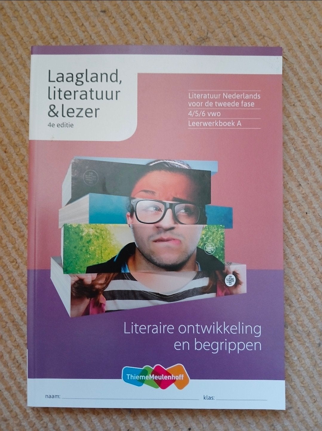 Laagland, Literatuur & Lezer Nederlands VWO Bovenbouw, Boeken, Ophalen, VWO, ThiemeMeulenhoff, Zo goed als nieuw
